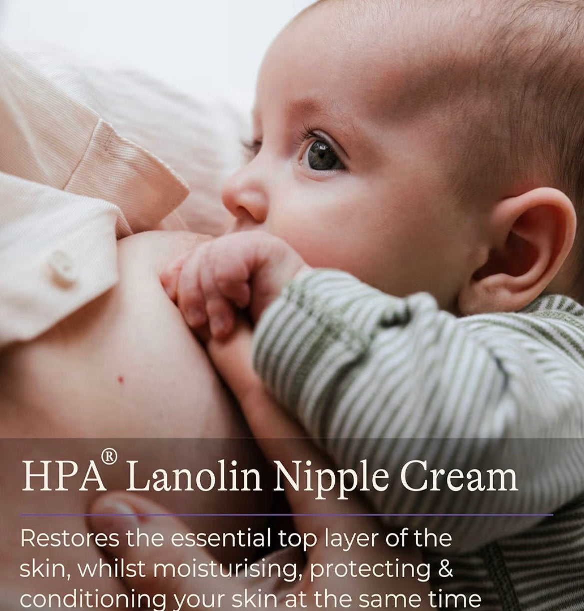 Lansinoh HPA Lanolin Nipple Cream